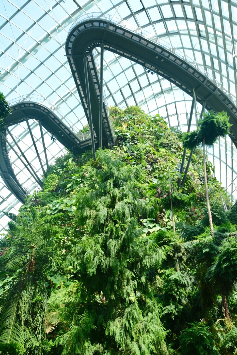 Travel photograph from our 12 things to do in singapore story